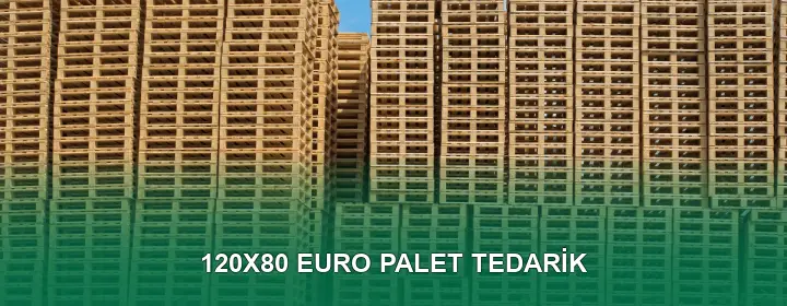 120x80 Euro Palet Taşıma Kapasitesi