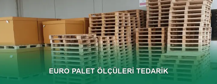 Euro Palet Ölçüleri Taşıma Kapasitesi
