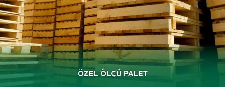 Özel Ölçü Palet Taşıma Kapasitesi