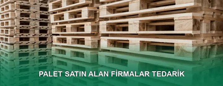 Palet Satın Alan Firmalar Kalite Kontrolü Palet Satın Alan Firmalar Kalite Kontrolü