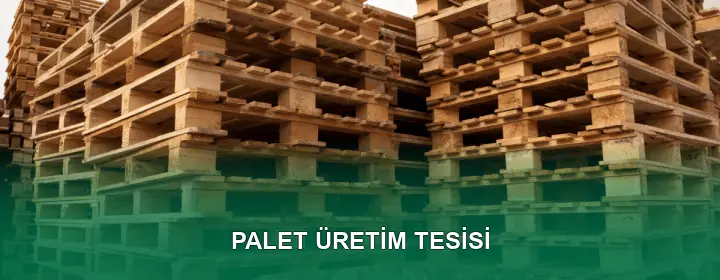 Palet Üretim Tesisi