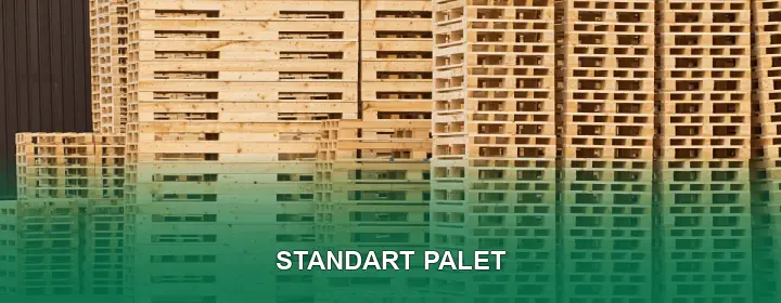 Standart Palet
